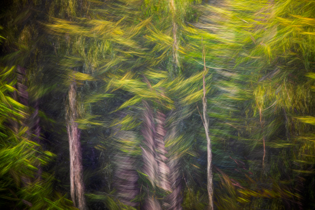 Shape Colours 78A4908